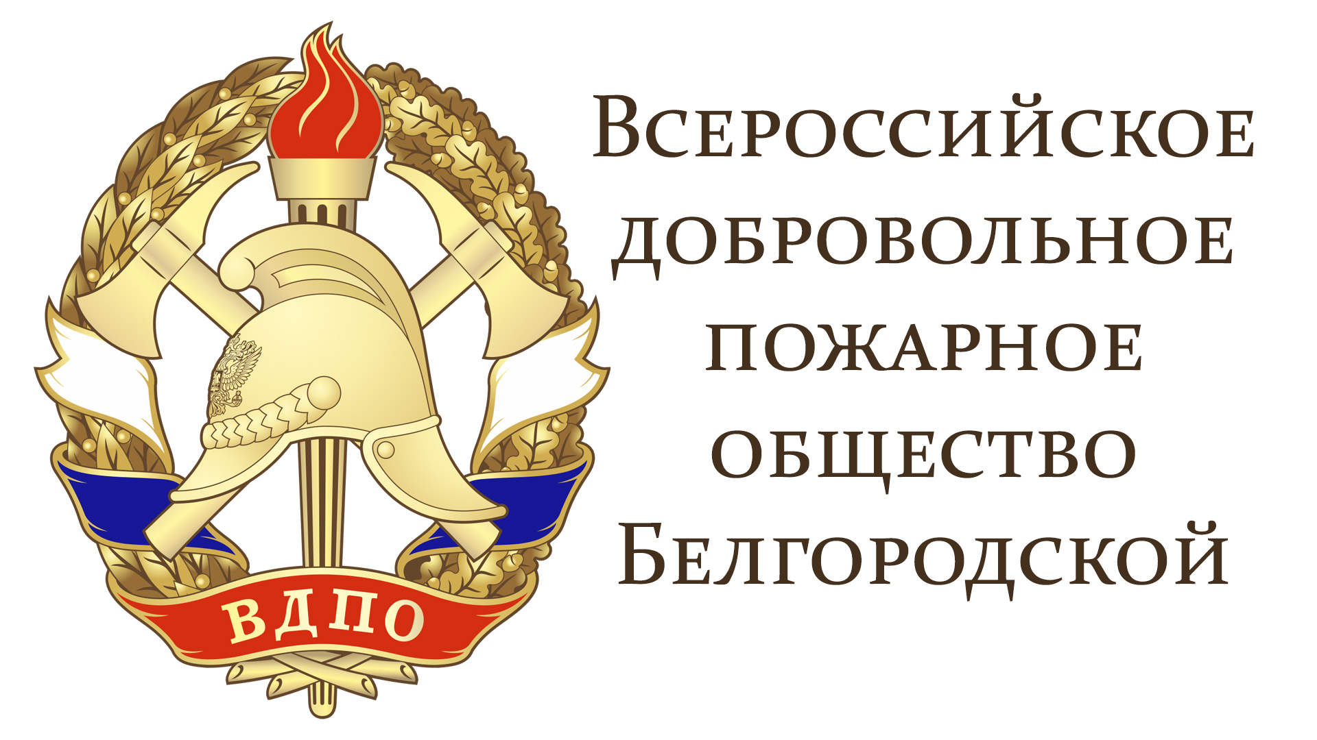 ВДПО.jpg
